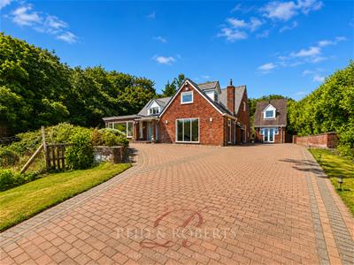 Picture 10